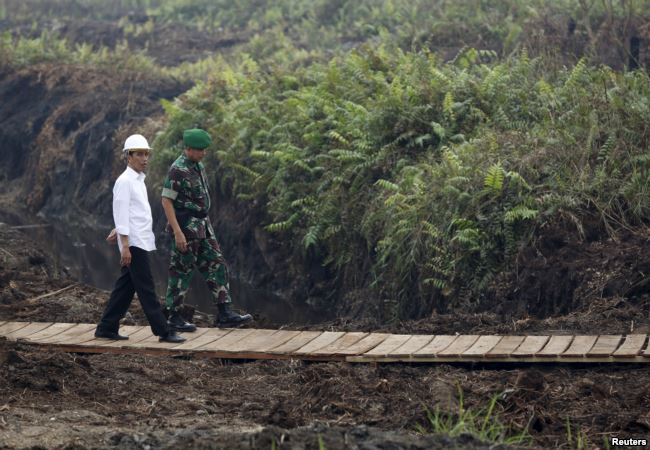 นโยบายคืนผืนป่ากลุ่มชาติพันธุ์อินโดนีเซียยังล่าช้า หวั่นเอกชนเข้าใช้พื้นที่เพิ่มก๊าซคาร์บอน