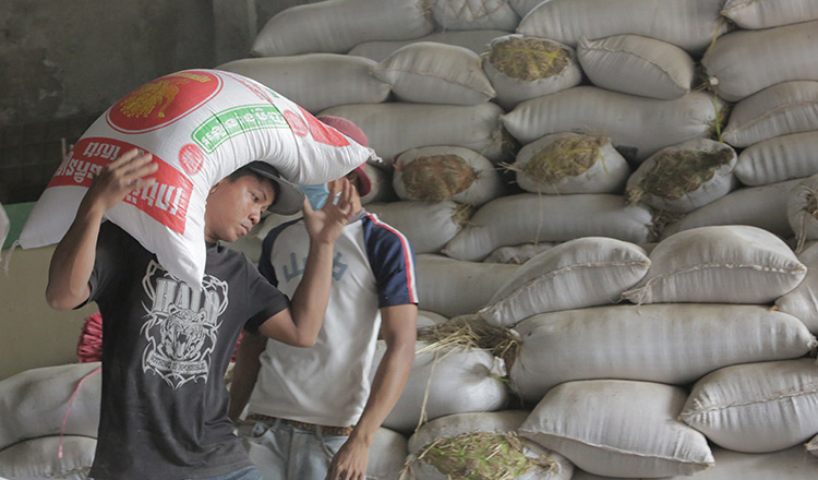 กัมพูชาเตรียมพื้นที่กว่าล้านไร่ลุยตลาดจีนเต็มตัวส่งออก 'ข้าวญี่ปุ่น'