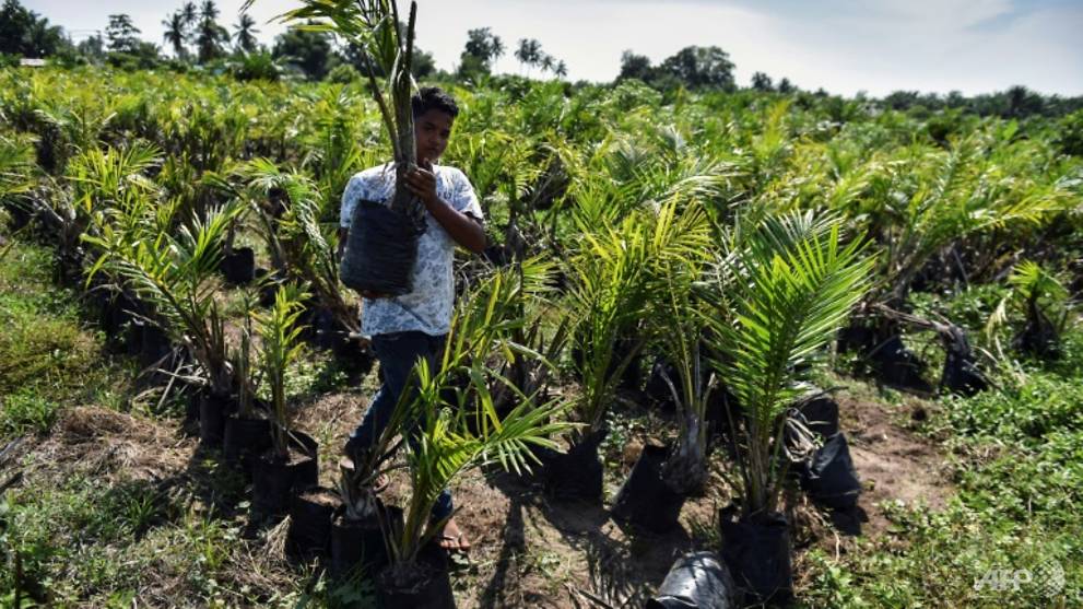 อินโดนีเซียงัดข้อ EU ขึ้นภาษีนมตอบโต้ข้อพิพาทปาล์มน้ำมัน
