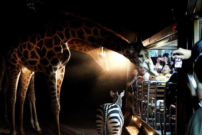 Free Admission at Chiang Mai Night Safari on July 1-15