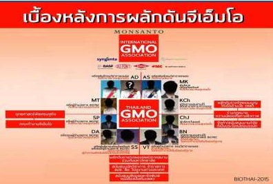 
	Biothai เผยบรรษัท CropLife อยู่เบื้องหลังการผลักดัน GMO
