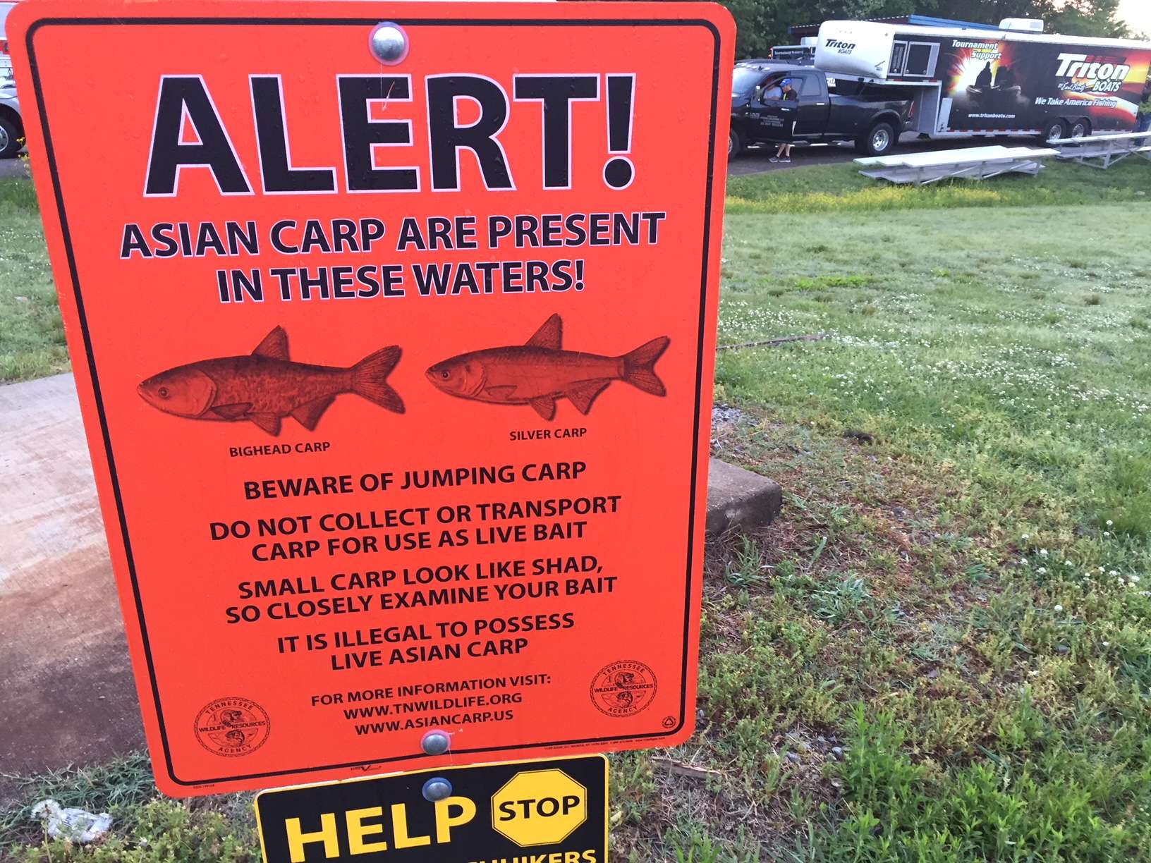 'ปลาคาร์พเอเชีย' อาจได้ชื่อใหม่หลังกระแสทำร้ายคนเชื้อสายเอเชียในสหรัฐฯ
