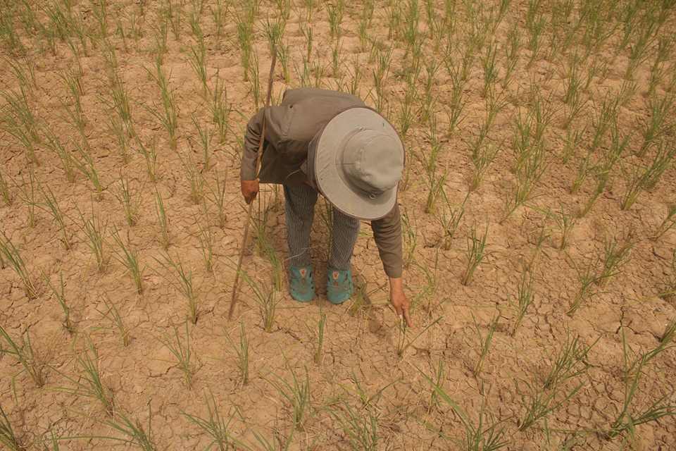 Severe Drought in Northeast