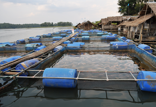 สภาเกษตรกรฯ โวยกรมเจ้าท่าสั่งให้เขียนแบบสิ่งก่อสร้างในลำน้ำของชาวประมง