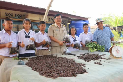 เลี้ยงจิ้งหรีดเพื่ออาหารกลางวัน พบโปรตีนสูง-รายได้เสริมระหว่างเรียน