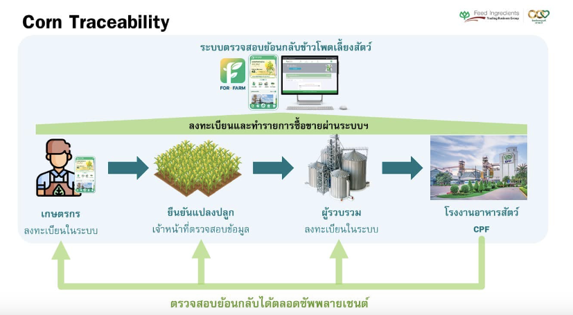 ผู้จัดหาวัตถุดิบอาหารสัตว์ให้ CPF ย้ำนำระบบตรวจสอบย้อนกลับข้าวโพดมาใช้ตั้งแต่ปี 59 แล้ว