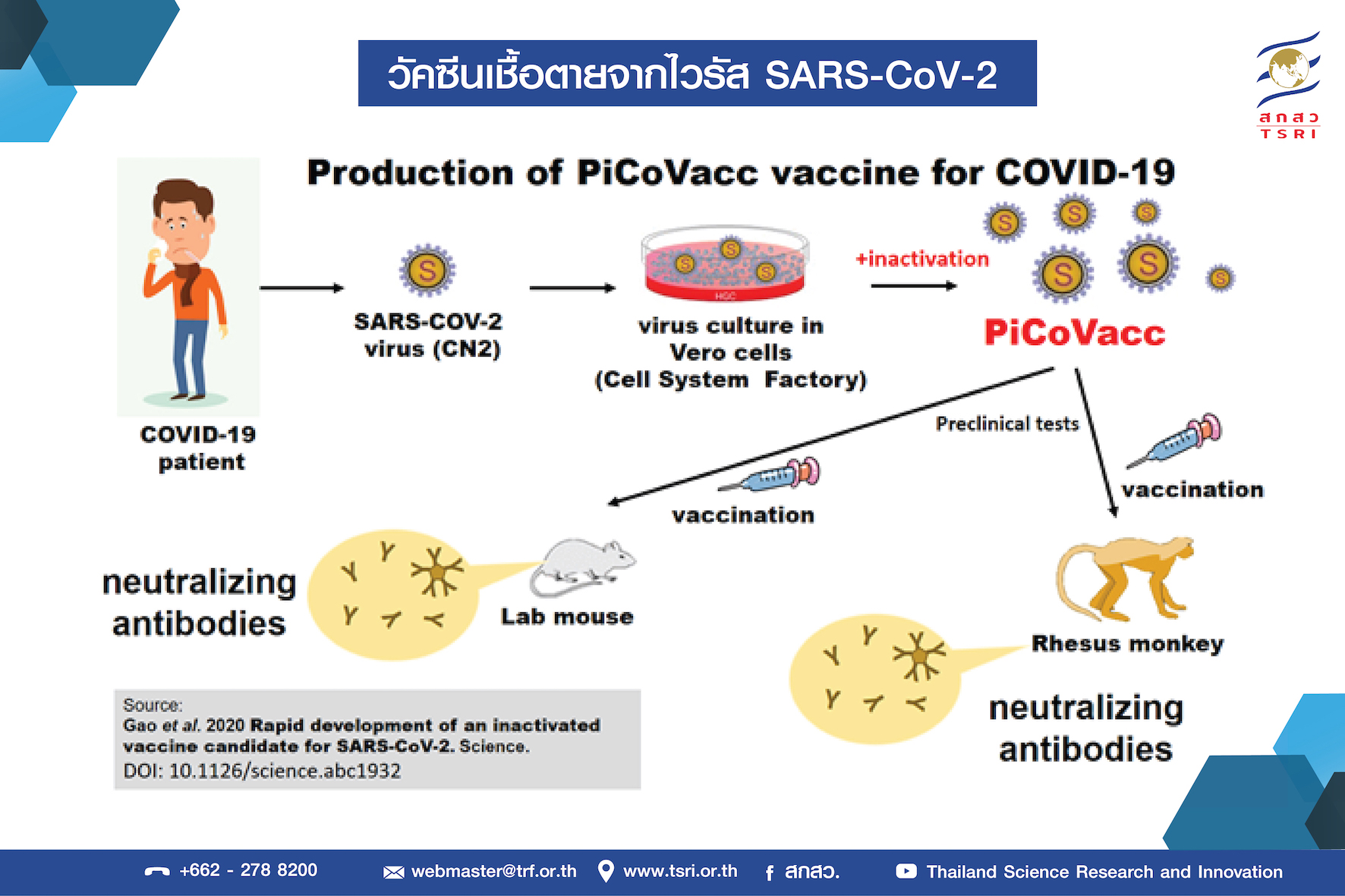 สกสว. เผยนักวิจัยจีนพบวัคซีนกระตุ้นการสร้างภูมิคุ้มกันโรค COVID-19