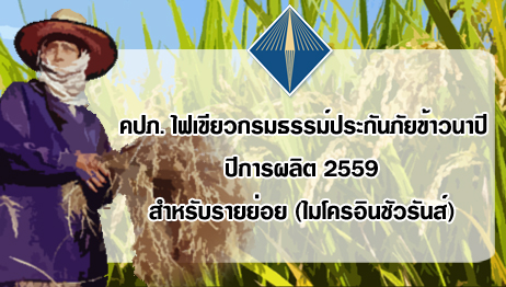 
	ชาวนาควรรู้ คปภ.ไฟเขียวกรมธรรม์ประกันภัยข้าวนาปี 2559 สำหรับรายย่อยแล้ว
