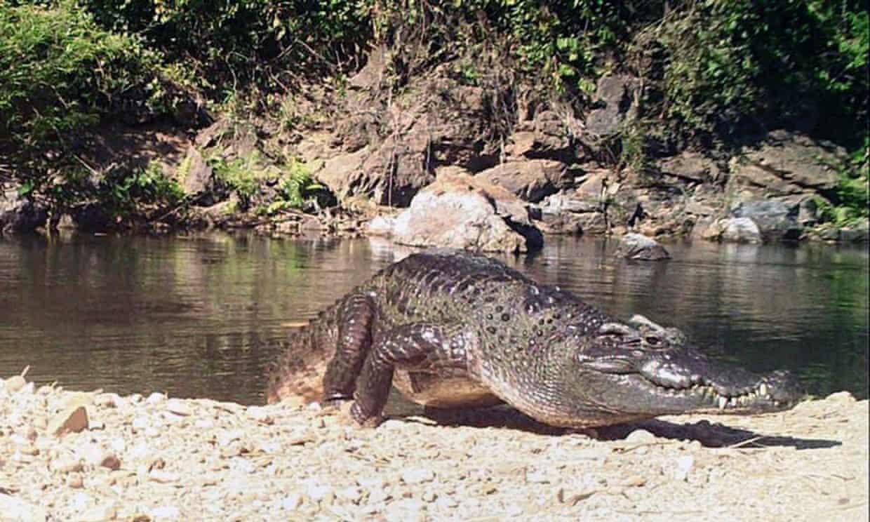 UN experts warn against heritage status for Kaeng Krachan national park