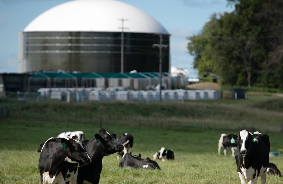 พบ 116 ฟาร์มปศุสัตว์มีประสิทธิภาพผลิตก๊าซชีวภาพต่ำกว่า 80% ของกำลังผลิต