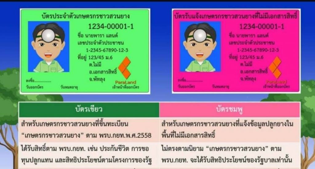 กยท. เตรียมเปิดให้ 'บัตรชมพู' ขึ้นทะเบียนเกษตรกรได้