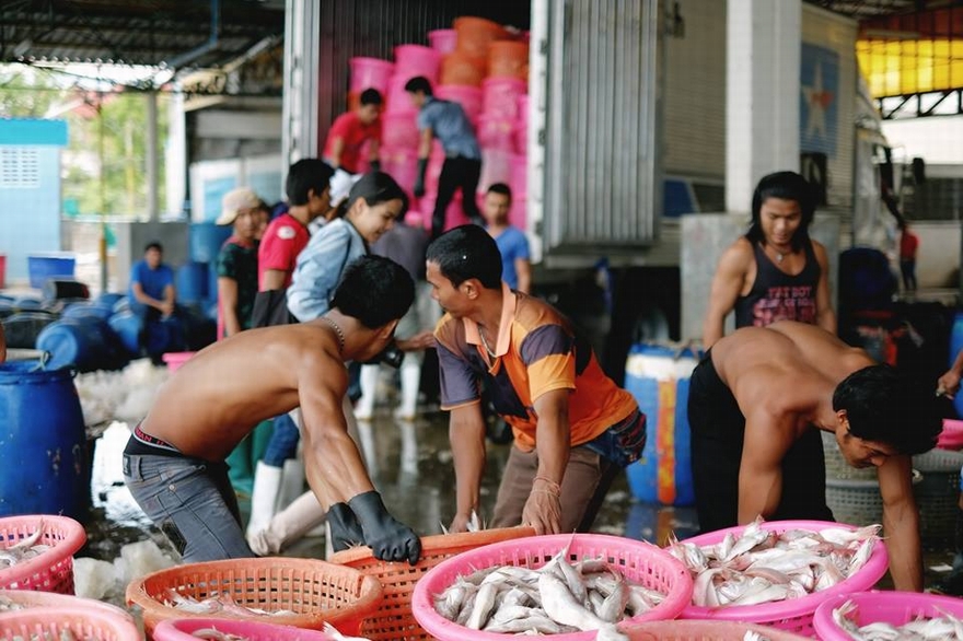 ธุรกิจเรือประมงไทยส่ออาการหนัก ขาดแรงงาน-เรือจอดเพียบ ทำราคาปลาพุ่ง 6 เท่าตัว