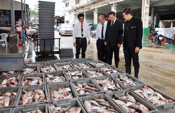 เตรียมเปิด ‘สะพานปลาท่าบก’ ทั่วไทย 15 แห่ง ภายใน 5 ปี