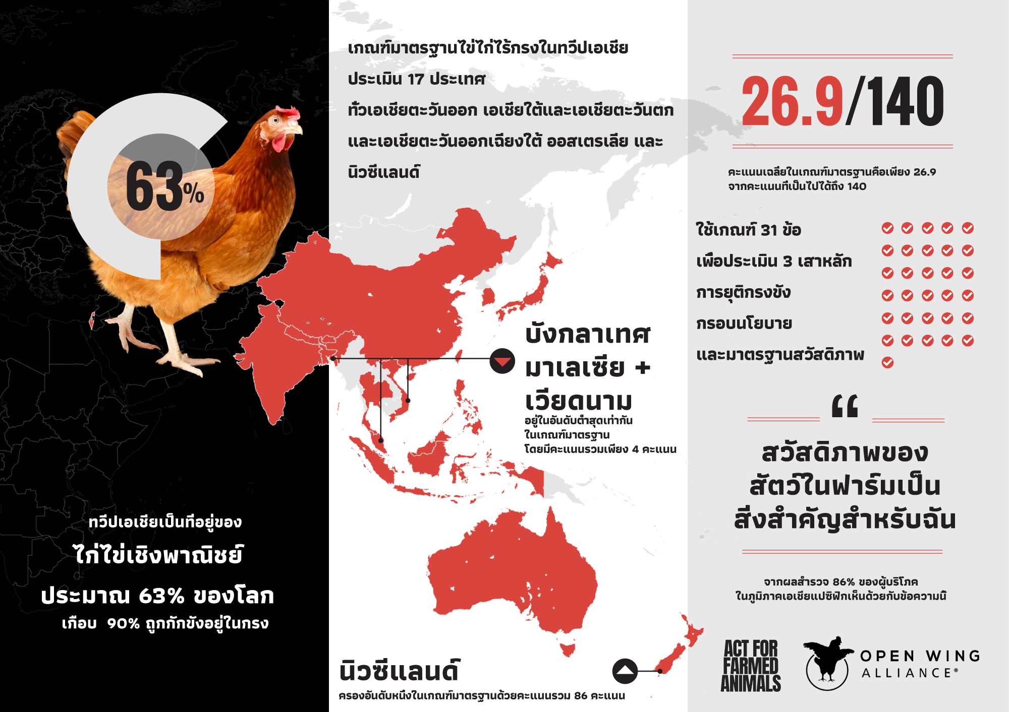 รายงานวัดมาตรฐานไข่ไก่ไร้กรงในทวีปเอเชียประเมินไทยต่ำ เหตุไร้นโยบาย-บังคับใช้ กม.