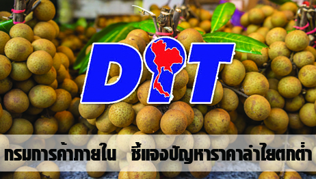 แจงราคาลำไยตกต่ำ เพราะอินโดนีเซียออกใบอนุญาตนำเข้าจากไทยช้า