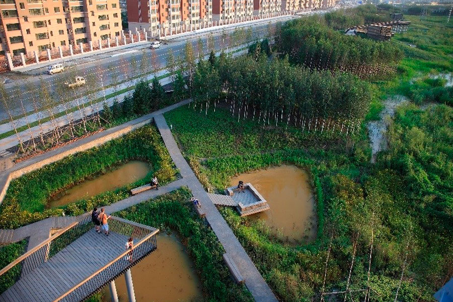 สถาปนิกจีนหนุนสร้าง 'เมืองฟองน้ำ' ลดปัญหาน้ำท่วม-ภัยแล้ง