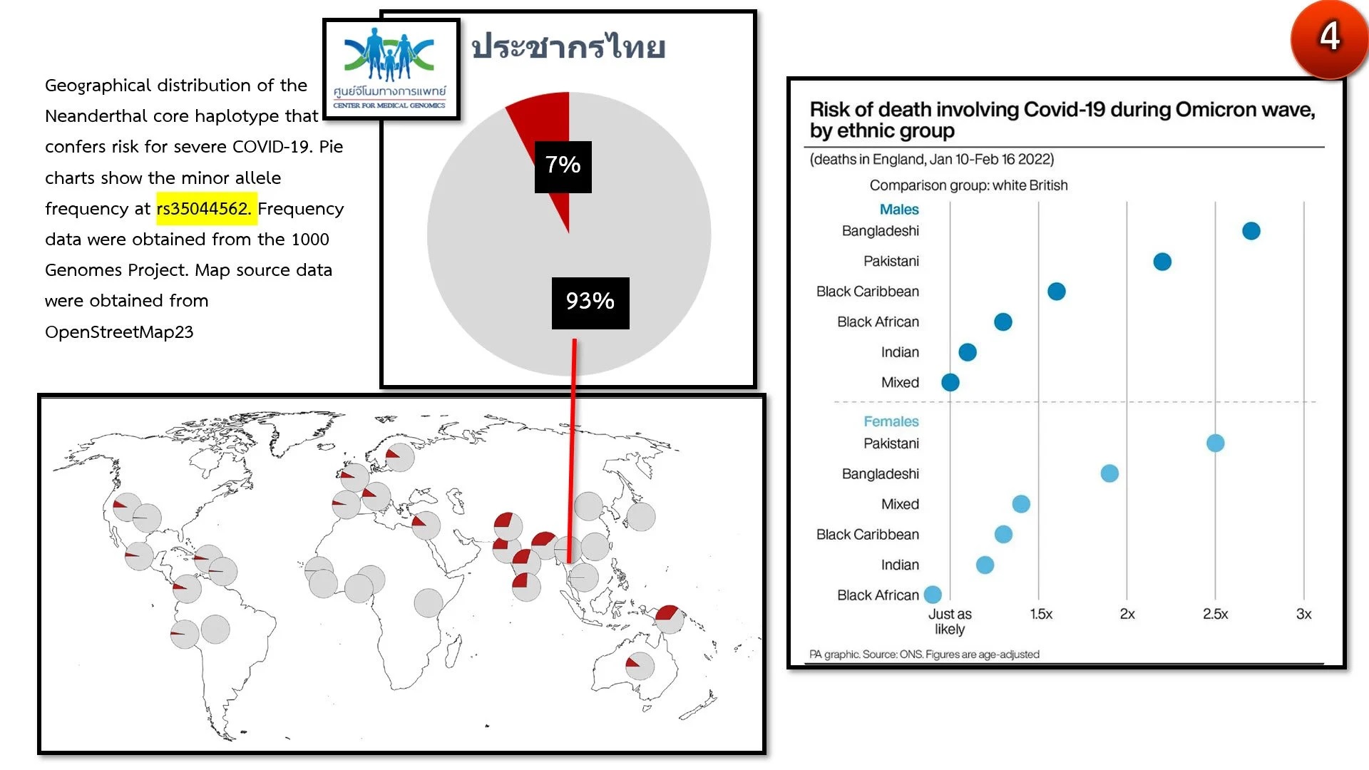 ศูนย์จีโนมฯ ชี้คนไทยมียีน 'มนุษย์นีแอนเดอร์ทัล' เพียง 7% ทำให้อัตราเสียชีวิตโควิด-19 ไม่รุนแรง