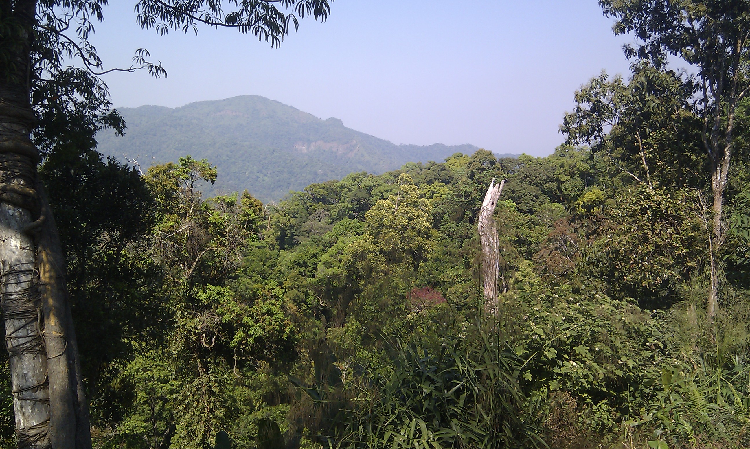 Kaeng Krachan Is Not Listed as UNESCO World Heritage