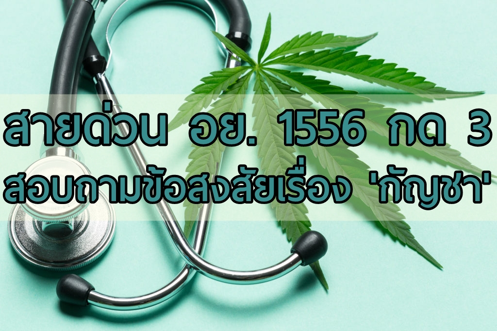 เปิดสายด่วน อย. 1556 กด 3 สอบถามข้อสงสัยเรื่อง 'กัญชา' เริ่ม 27 ก.พ. 2562