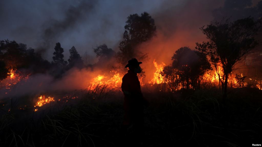 อินโดนีเซียเพิ่มมาตรการระวังไฟป่า สั่งยิงหากพบคนจุดไฟ