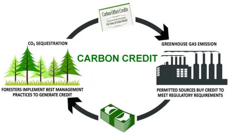 กรมพัฒนาธุรกิจการค้าและหน่วยงานที่เกี่ยวข้อง ดัน 'คาร์บอนเครดิต' เป็นหลักประกันทางธุรกิจ