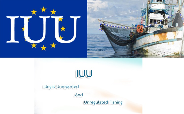 สหภาพยุโรป (EU) ประกาศปลดล็อกใบเหลือง IUU ประมงไทย