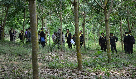 
	ก.ทรัพย์ฯ เผยทวงคืนพื้นที่ป่าไม้ที่ถูกบุกรุกปลูกยางพาราได้แล้วกว่า 52,000 ไร่
